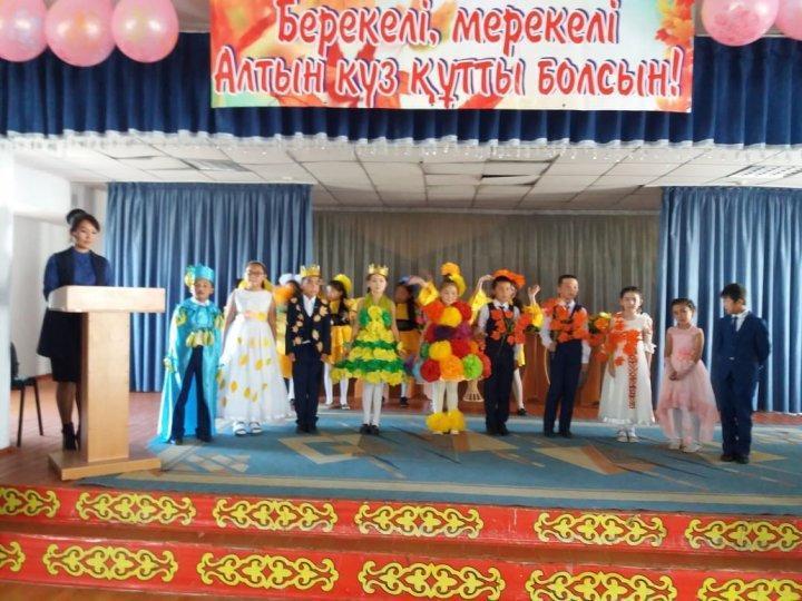 Кішкентай ару 2019 байқауы